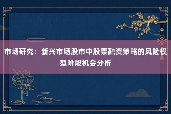 市场研究：新兴市场股市中股票融资策略的风险模型阶段机会分析