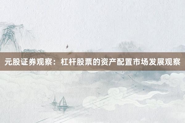 元股证券观察：杠杆股票的资产配置市场发展观察