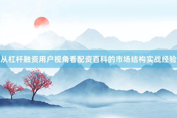 从杠杆融资用户视角看配资百科的市场结构实战经验