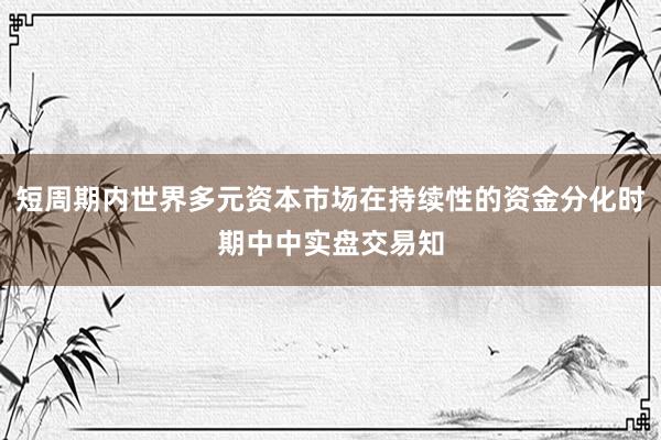 短周期内世界多元资本市场在持续性的资金分化时期中中实盘交易知