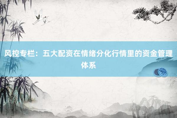 风控专栏：五大配资在情绪分化行情里的资金管理体系