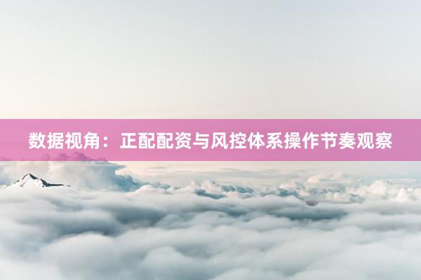 数据视角：正配配资与风控体系操作节奏观察