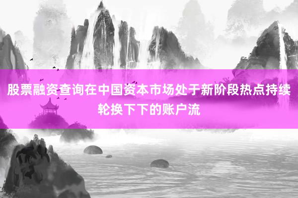 股票融资查询在中国资本市场处于新阶段热点持续轮换下下的账户流