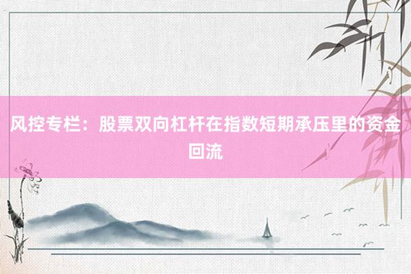 风控专栏：股票双向杠杆在指数短期承压里的资金回流