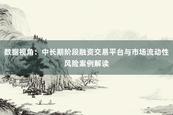 数据视角：中长期阶段融资交易平台与市场流动性风险案例解读