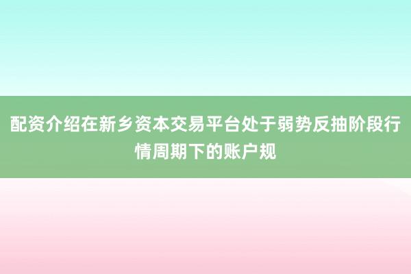 配资介绍在新乡资本交易平台处于弱势反抽阶段行情周期下的账户规