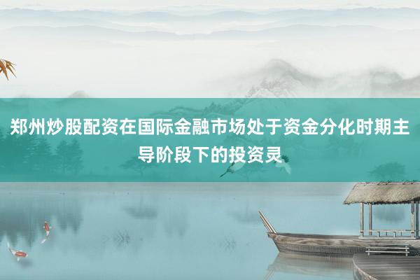 郑州炒股配资在国际金融市场处于资金分化时期主导阶段下的投资灵