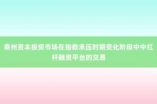 泰州资本投资市场在指数承压时期变化阶段中中杠杆融资平台的交易