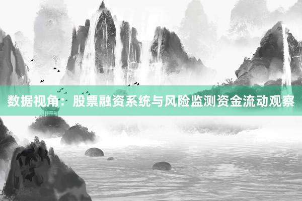 数据视角：股票融资系统与风险监测资金流动观察