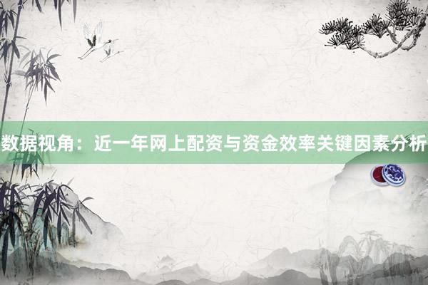 数据视角：近一年网上配资与资金效率关键因素分析