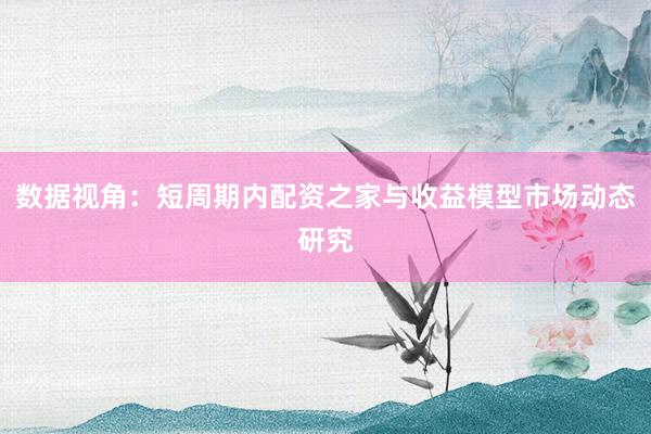 数据视角：短周期内配资之家与收益模型市场动态研究