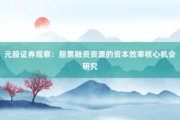 元股证券观察：股票融资资源的资本效率核心机会研究
