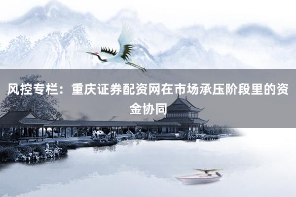 风控专栏：重庆证券配资网在市场承压阶段里的资金协同