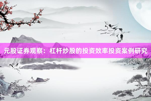 元股证券观察：杠杆炒股的投资效率投资案例研究