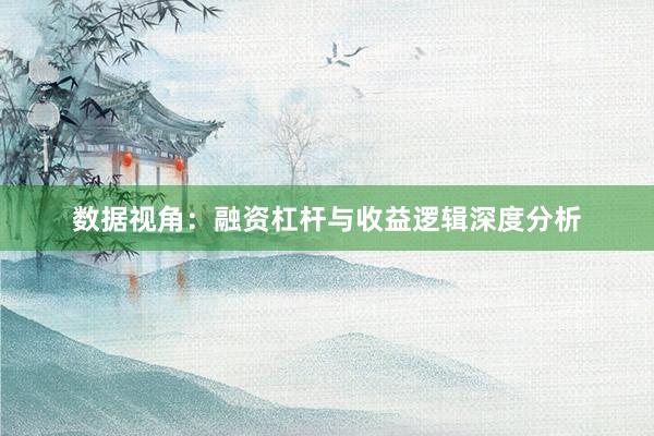 数据视角：融资杠杆与收益逻辑深度分析