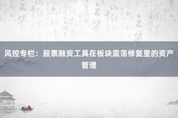 风控专栏：股票融资工具在板块震荡修复里的资产管理