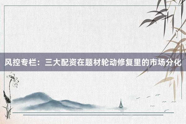 风控专栏：三大配资在题材轮动修复里的市场分化