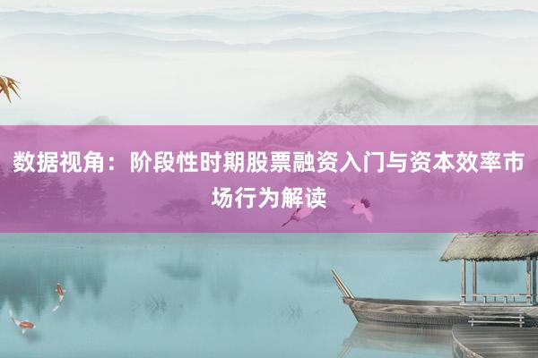 数据视角：阶段性时期股票融资入门与资本效率市场行为解读