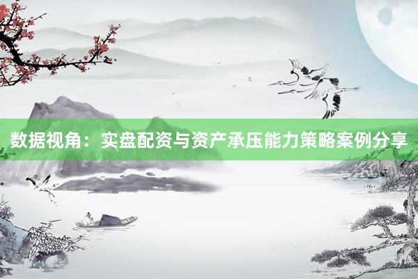 数据视角：实盘配资与资产承压能力策略案例分享