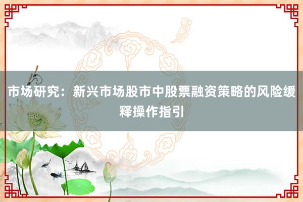 市场研究：新兴市场股市中股票融资策略的风险缓释操作指引