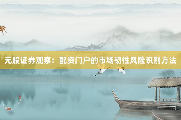 元股证券观察：配资门户的市场韧性风险识别方法