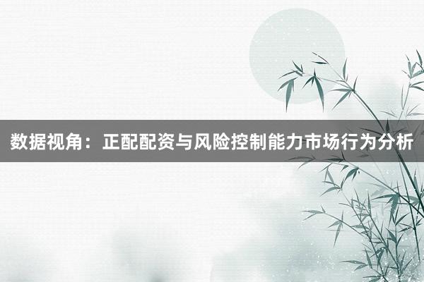 数据视角：正配配资与风险控制能力市场行为分析