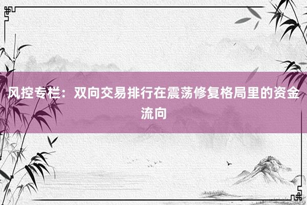 风控专栏：双向交易排行在震荡修复格局里的资金流向