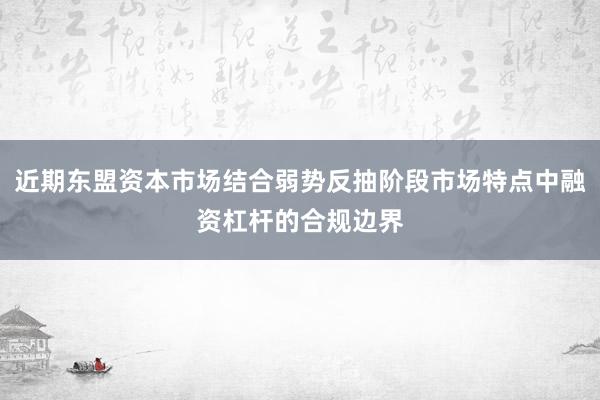 近期东盟资本市场结合弱势反抽阶段市场特点中融资杠杆的合规边界