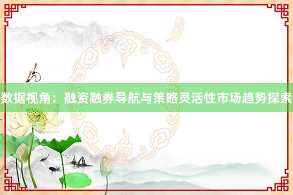 数据视角：融资融券导航与策略灵活性市场趋势探索