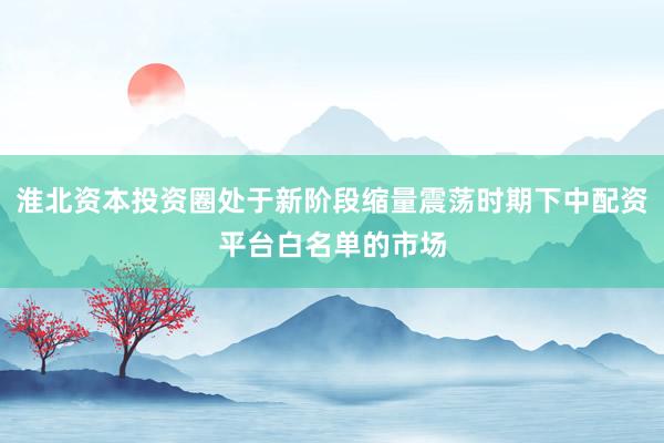 淮北资本投资圈处于新阶段缩量震荡时期下中配资平台白名单的市场