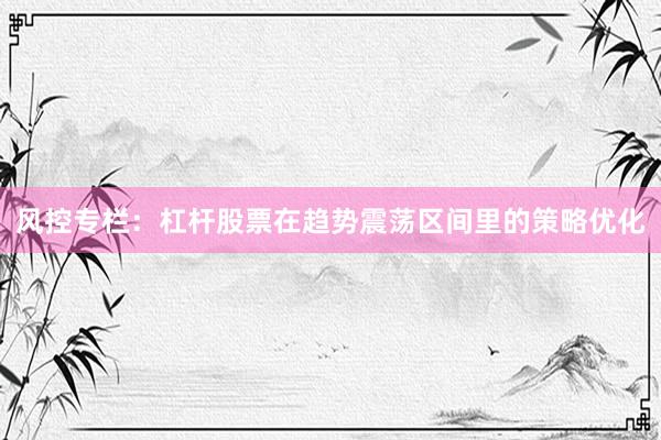 风控专栏：杠杆股票在趋势震荡区间里的策略优化