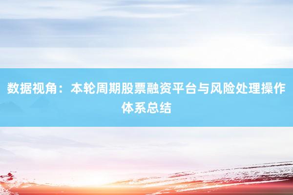 数据视角：本轮周期股票融资平台与风险处理操作体系总结