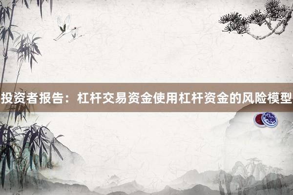投资者报告：杠杆交易资金使用杠杆资金的风险模型