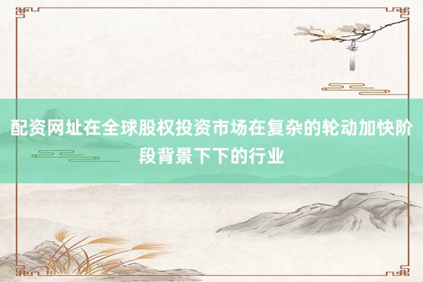 配资网址在全球股权投资市场在复杂的轮动加快阶段背景下下的行业