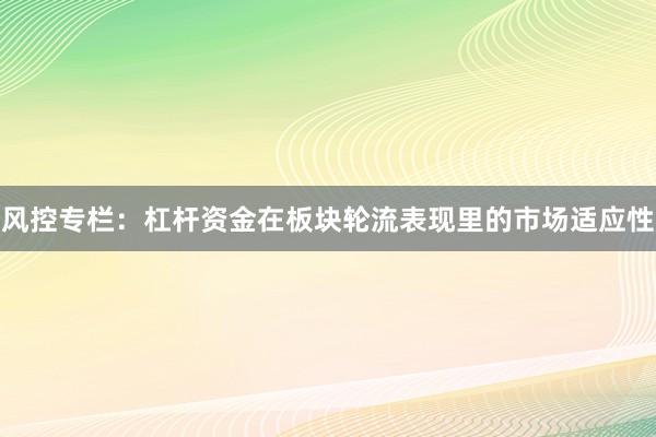 风控专栏：杠杆资金在板块轮流表现里的市场适应性