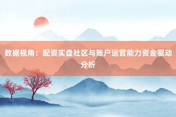 数据视角：配资实盘社区与账户运营能力资金驱动分析