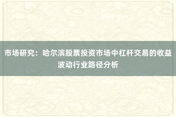 市场研究：哈尔滨股票投资市场中杠杆交易的收益波动行业路径分析