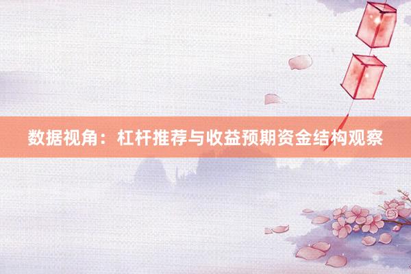 数据视角：杠杆推荐与收益预期资金结构观察