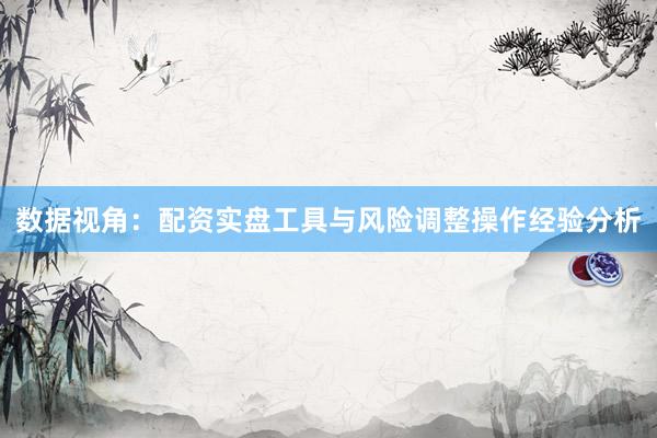 数据视角：配资实盘工具与风险调整操作经验分析