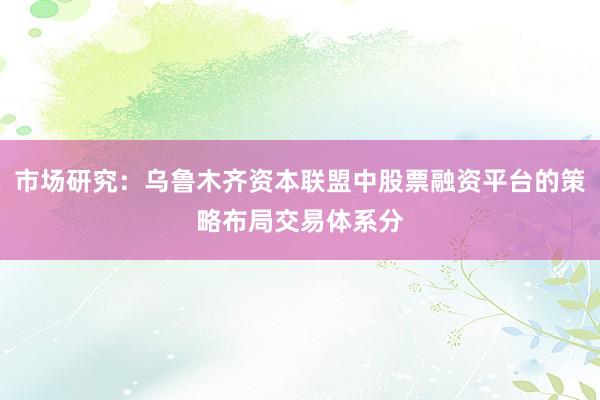 市场研究：乌鲁木齐资本联盟中股票融资平台的策略布局交易体系分