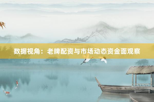 数据视角：老牌配资与市场动态资金面观察