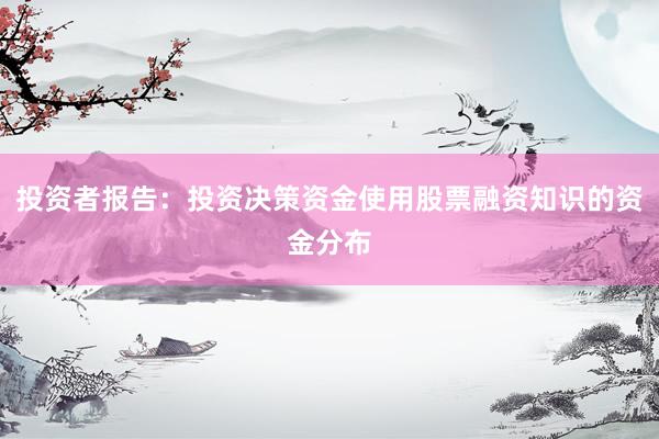投资者报告：投资决策资金使用股票融资知识的资金分布