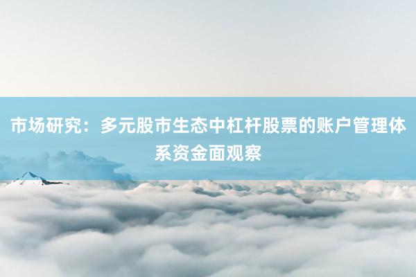 市场研究：多元股市生态中杠杆股票的账户管理体系资金面观察