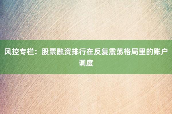 风控专栏：股票融资排行在反复震荡格局里的账户调度