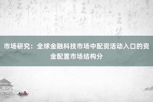 市场研究：全球金融科技市场中配资活动入口的资金配置市场结构分