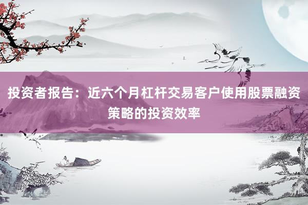 投资者报告：近六个月杠杆交易客户使用股票融资策略的投资效率
