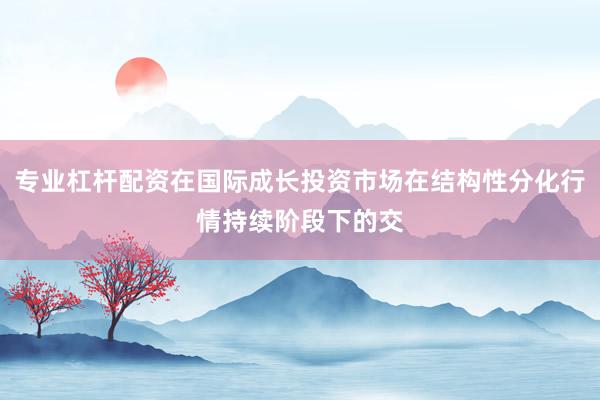 专业杠杆配资在国际成长投资市场在结构性分化行情持续阶段下的交