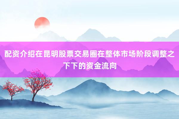 配资介绍在昆明股票交易圈在整体市场阶段调整之下下的资金流向