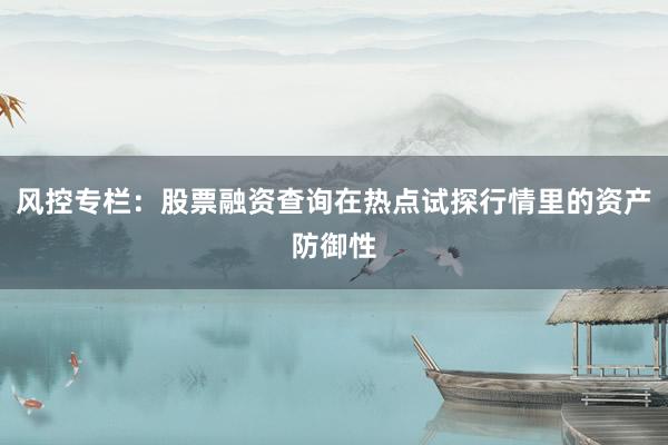 风控专栏：股票融资查询在热点试探行情里的资产防御性