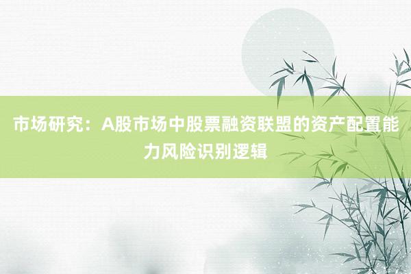 市场研究：A股市场中股票融资联盟的资产配置能力风险识别逻辑